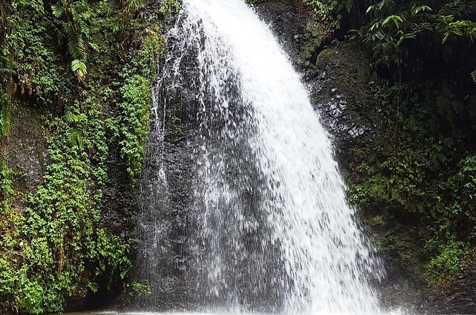 North Tour: rainforest, rum distillery, black sand beach etc - Domaine d’Emeraude: Botanical Garden + Interactive Museum