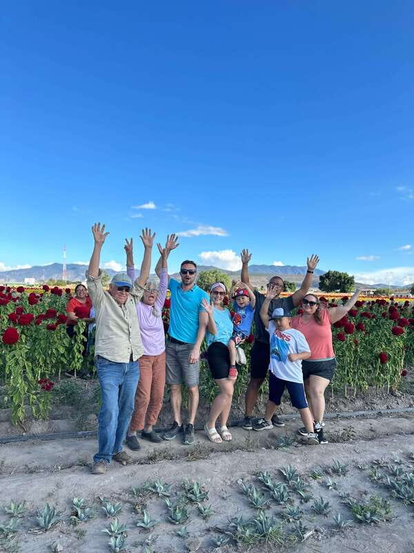 Oaxaca: Hierve el Agua & Mezcal Distillery Small-Group Tour - Key things I’d circle before booking
