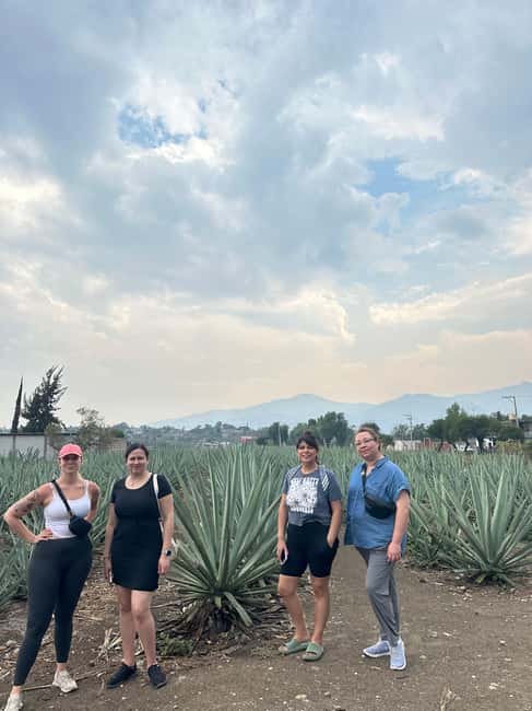 Oaxaca: Hierve el Agua & Mezcal Distillery Small-Group Tour - Why this Oaxaca combo tour makes sense