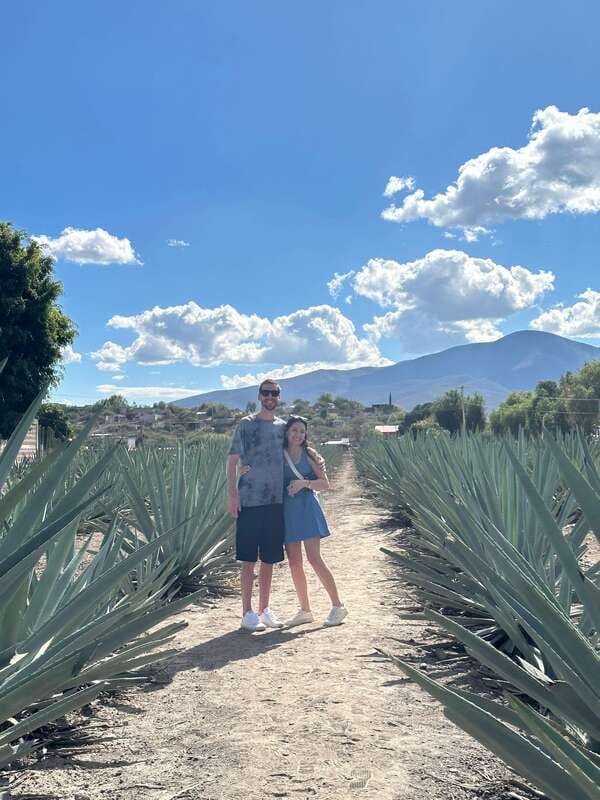 Oaxaca: Hierve el Agua & Mezcal Distillery Small-Group Tour - Price and value: what $70 covers on a full-day circuit