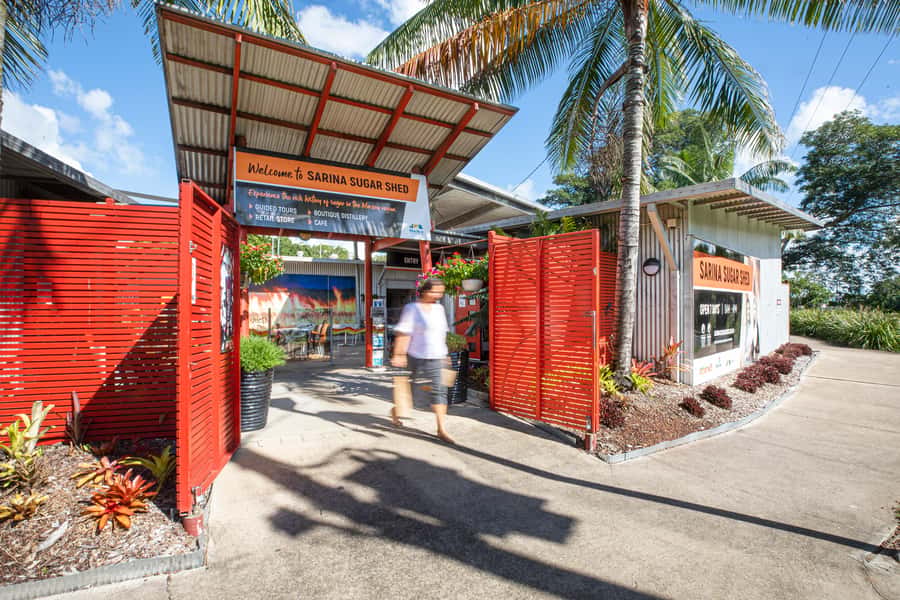 Package - Sugar Shed Tour and Rum Distillery Tour 1.5 hours - Before the machines: the cane patch and the Mackay farming story