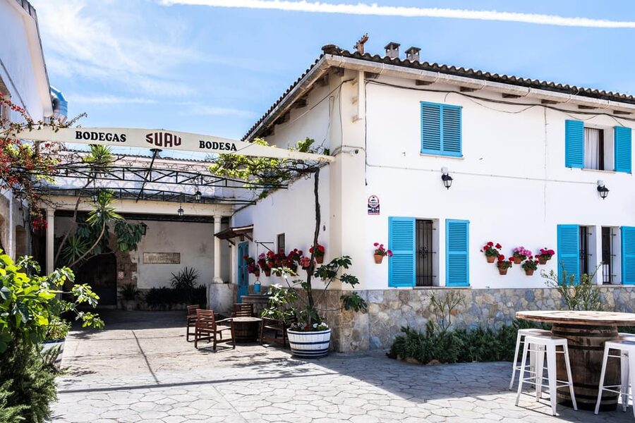 Palma: Distillery Tour with 6 Spirits and Tapas Tasting - Key highlights you’ll actually care about