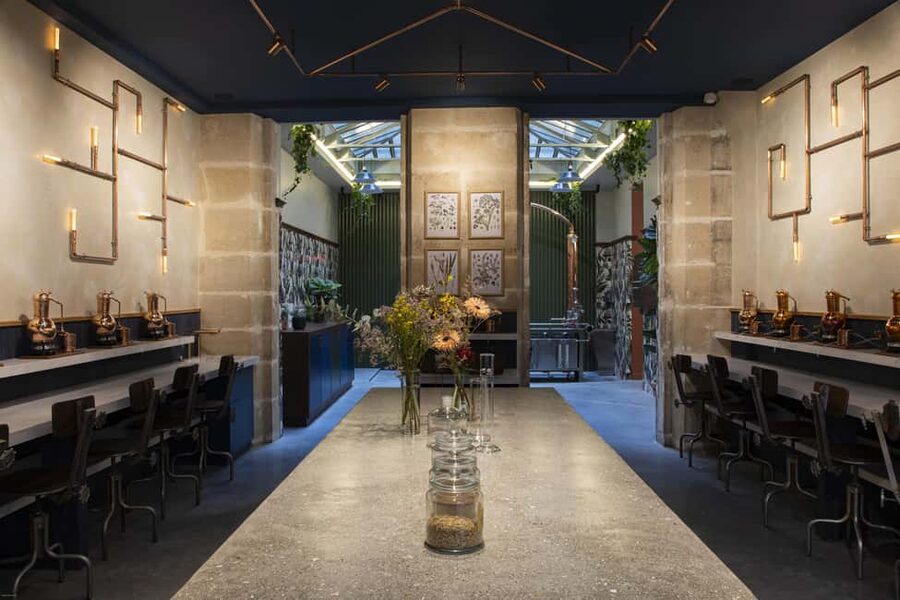 Paris Visit and gin tasting in English - Why the expert guide makes this tour worth your time