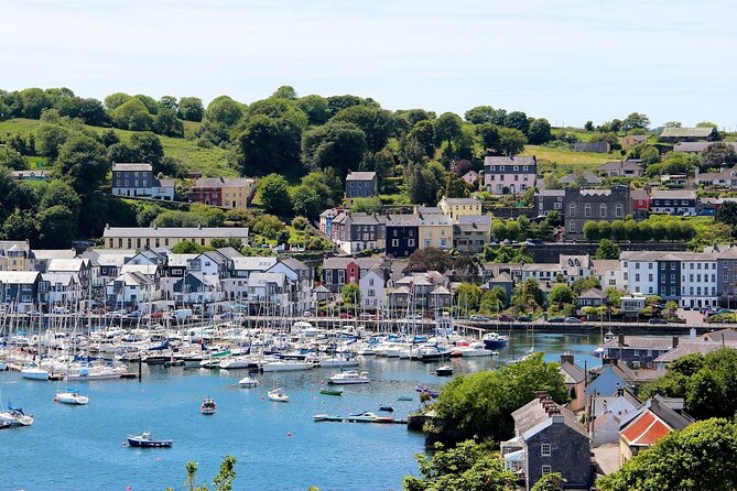 Private Cork City Tour, Kinsale and Jameson Distillery - St Fin Barre’s Cathedral: stunning glass, and entry may be extra