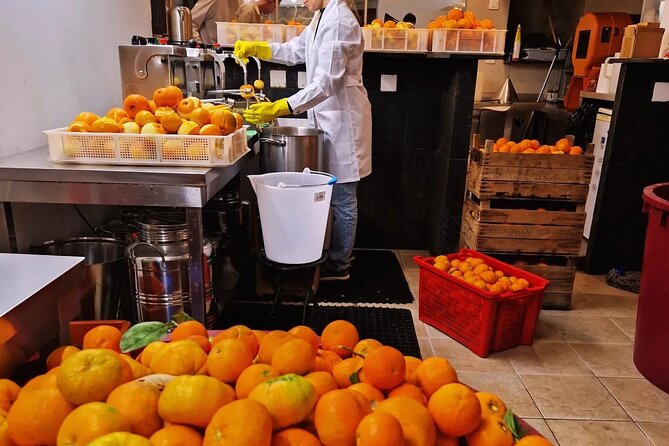 Private Distillery Day Tour - La Distillerie de Monaco: a rare stop inside Monaco