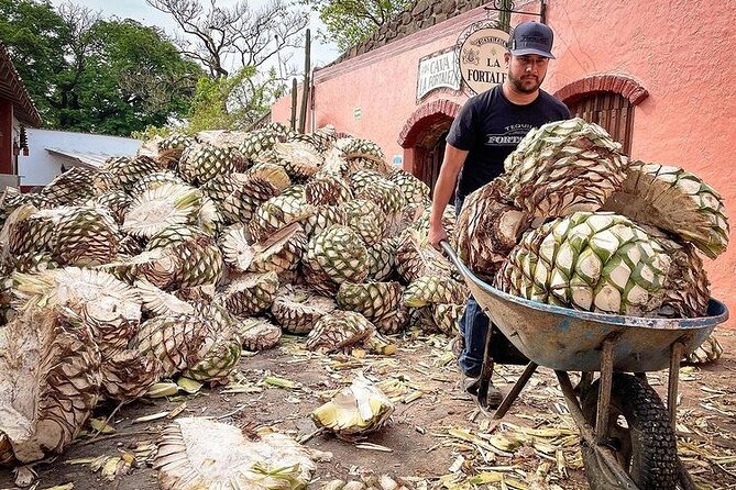 Private One Day Adventure Tour in Tequila and La Fortaleza Distillery - How this day actually feels: private comfort with real tequila rhythm