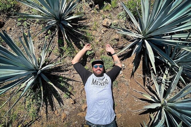 Private One Day Adventure Tour in Tequila and La Fortaleza Distillery - Stop 1: Tequila Selecto de Amatitán and its agave-to-glass approach