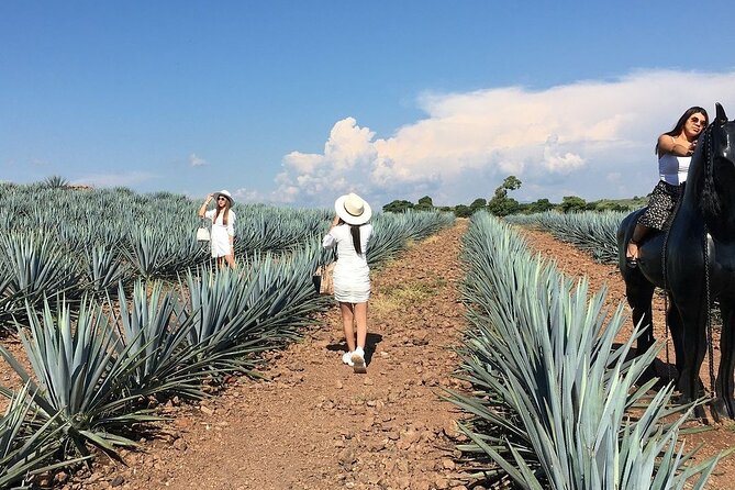 Private Tour Cascahuin Distillery and visit to Tequila - Stop 4: The Magic Town of Tequila, square time and shopping