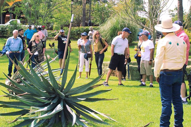 Private Tour La Fortaleza Distillery and visit to Tequila - What’s included vs. what you’ll need to plan