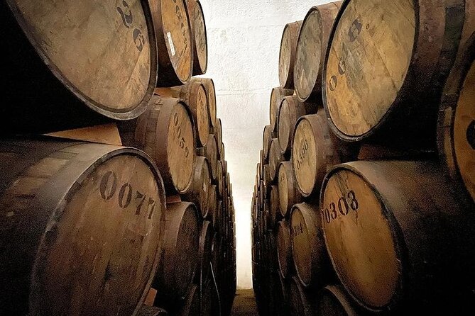 Private Tour one day in Guachimontones and La Fortaleza Distillery - Tequila Selecto and the agave views: why the private factor matters