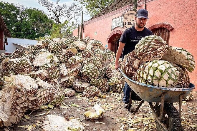 Private Tour one day in Guachimontones and La Fortaleza Distillery - Price, timing, and who this day is perfect for