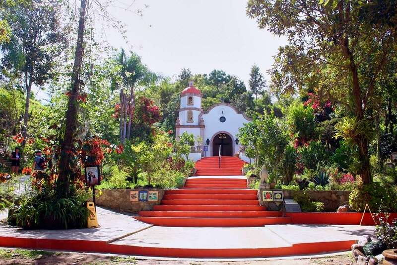 Puerto Vallarta: Botanical Gardens, Distillery & Coffee Tour - How the bilingual guide changes the whole experience