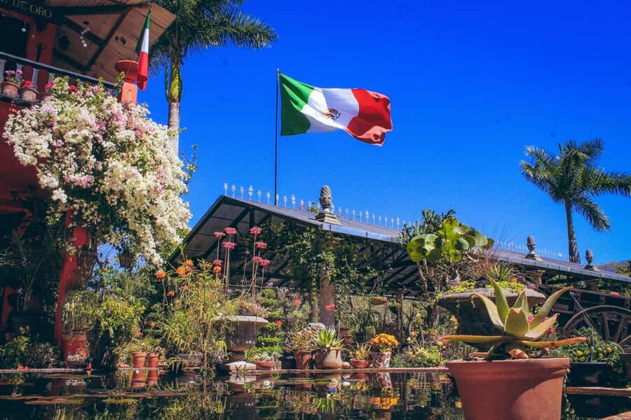 Puerto Vallarta: Botanical Gardens, Distillery & Coffee Tour - Practicalities: pickup times, heat, and the walking reality