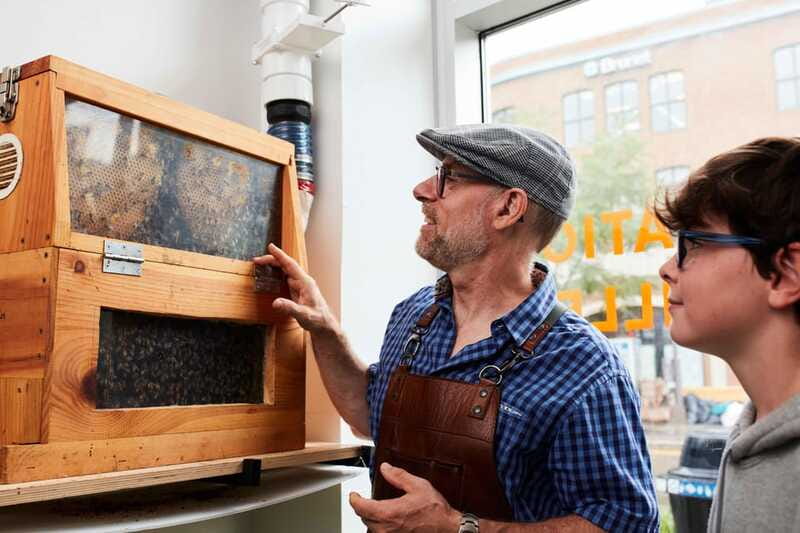 Quebec City: Honey and Distillery Tour with Tasting - Should You Book Apikol’s Honey and Distillery Tour?