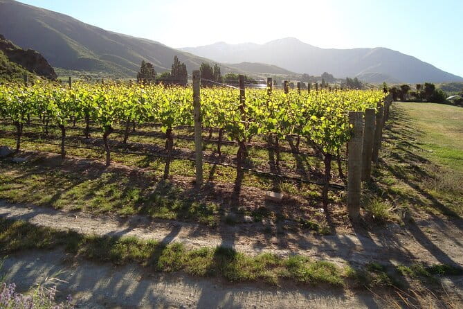 Queenstown Gin and Whiskey tours - Price Check: Is $462 Worth It?