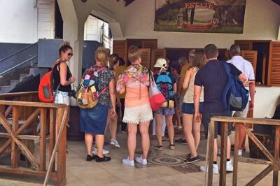 Rum Tour: Exploring the Historic River Antoine Rum Distillery - How rum gets made here: traditional methods you can follow