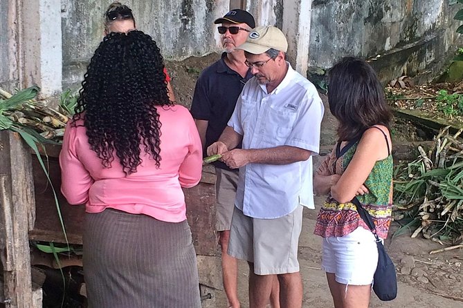 Rum Tour: Exploring the Historic River Antoine Rum Distillery - Buying rum on-site: how to shop without buyer’s remorse