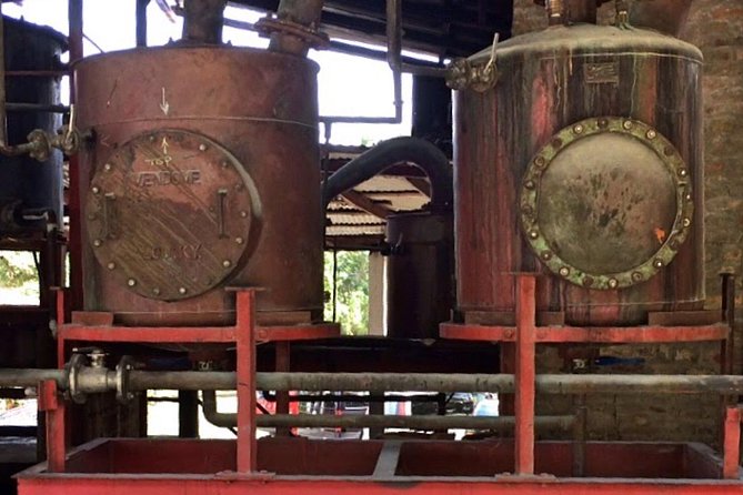 Rum Tour: Exploring the Historic River Antoine Rum Distillery - Who this rum tour fits best