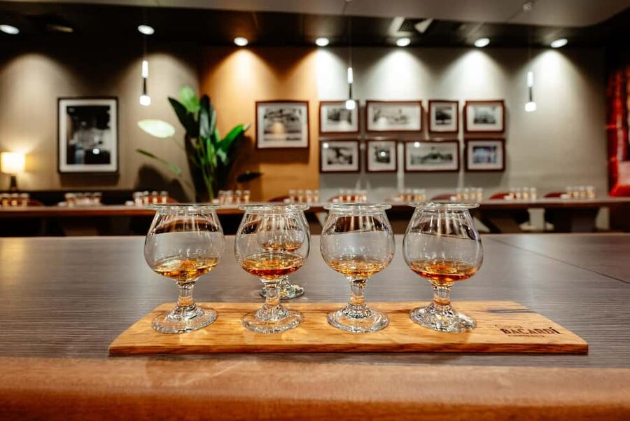 San Juan: Casa Bacardi Distillery Tour - The trolley ride and historical landmarks: how you learn without getting worn out