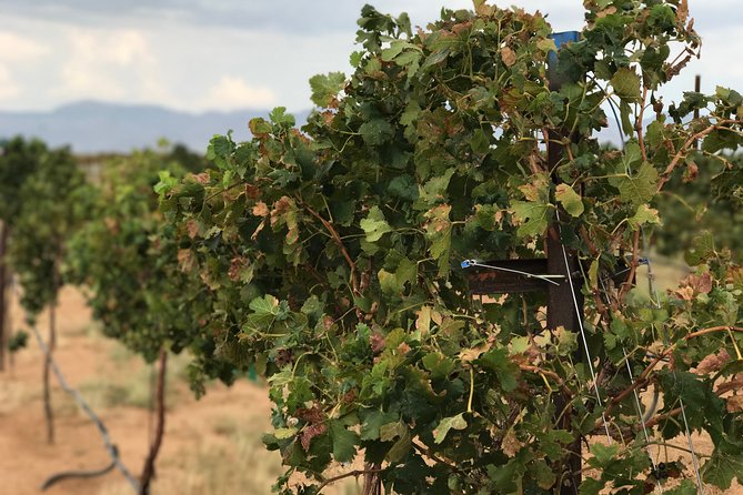 Scenic Desert Wine Distillery Brewery Route 66 Tour - Kingman in one day: wine, spirits, beer, and Route 66 context