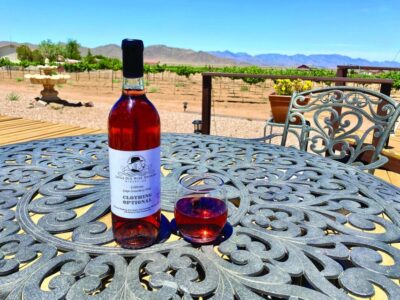 Scenic Desert Wine, Distillery Tastings/Brewery/RT66 & Lunch - Little Old Wine Drinkers: wine tasting with high-desert scenery