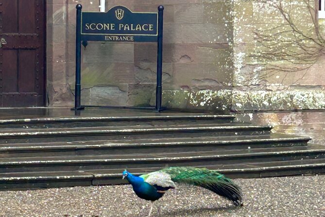 Scone Palace, Nature, Pitlochry, Whisky Experience from Glasgow - A Private 9-Hour Scotland Day That Doesn’t Feel Rushed