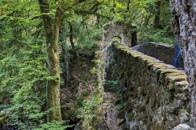 Scone Palace, Nature, Pitlochry, Whisky Experience from Glasgow - Glasgow to Stirling: The Big-Hill Castle Moment