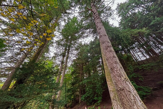Scone Palace, Nature, Pitlochry, Whisky Experience from Glasgow - Pitlochry: Victorian-Era Town Time (Not Just a Photo Stop)