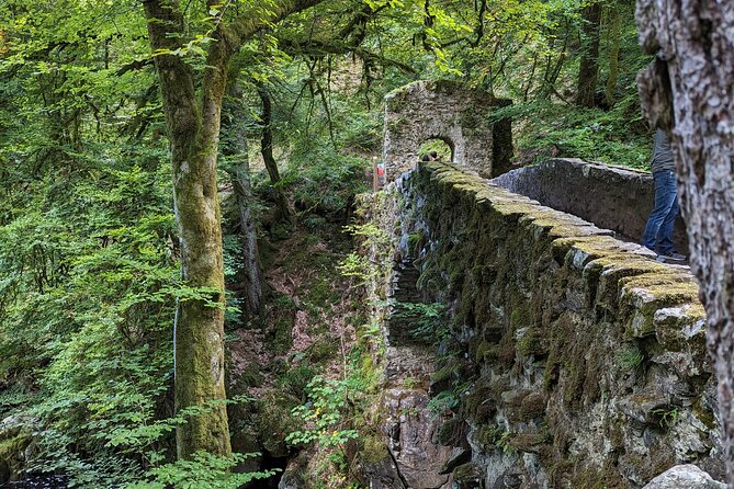 Scone Palace, Nature, Pitlochry, Whisky Experience from Glasgow - Glasgow to Stirling: The Big-Hill Castle Moment