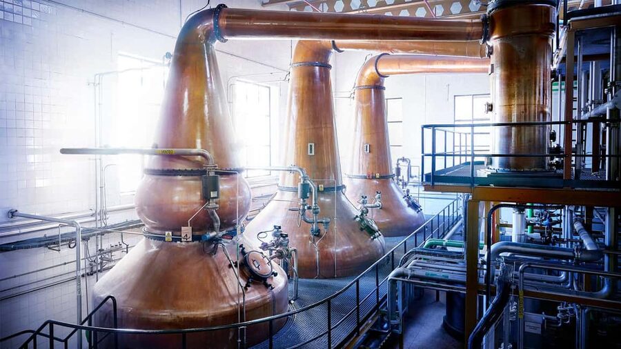 Segovia: DYC Distillery guided visit with whiskey tasting - The full production walkthrough: fermentation, distillation, and aging