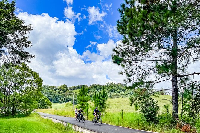 Self Guide E Bike Tour - Husk Distillery, Rainforest & Rail Trail - How this self-guided e-bike day works (without feeling chaotic)