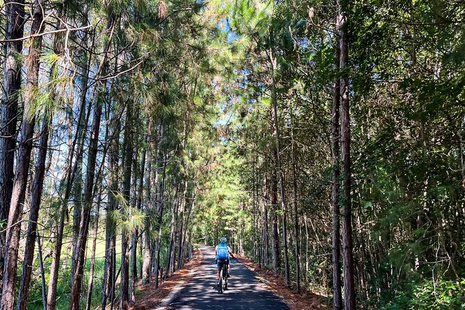 Self Guide E Bike Tour - Husk Distillery, Rainforest & Rail Trail - Leaving the rail trail: rainforest lanes, cane fields, and Mount Wollombin views