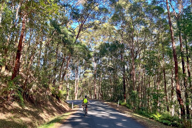 Self Guide E Bike Tour - Husk Distillery, Rainforest & Rail Trail - Husk Farm Distillery finish: the best kind of reward after effort