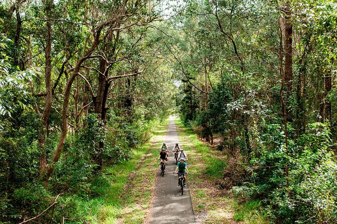 Self Guide E Bike Tour - Husk Distillery, Rainforest & Rail Trail - Who this e-bike tour suits best (and who should think twice)