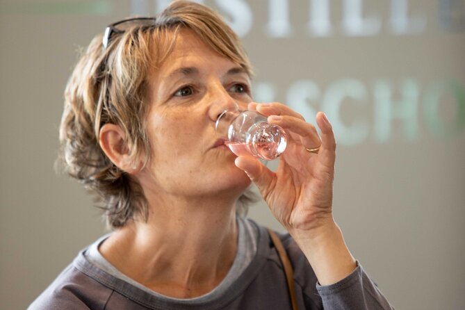 Shakespeare Distillery Tour - 11am Ticket - Tudor period and gin flavors: the history angle that isn’t fluff
