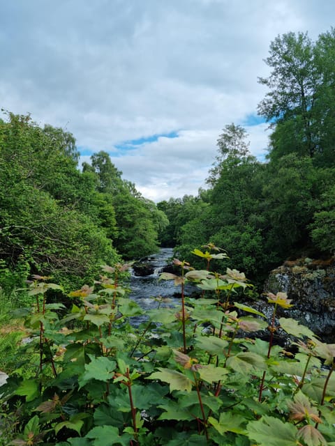 Shore excursion from Invergordon - Castles, Scenery & Whisky - Pricing and value: how $902 per group can work for you
