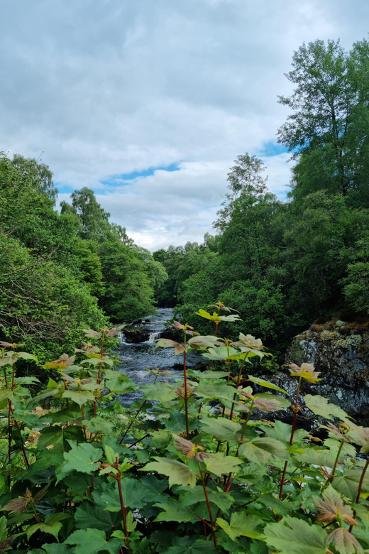 Shore excursion from Invergordon - Castles, Scenery & Whisky - Practical considerations before you commit