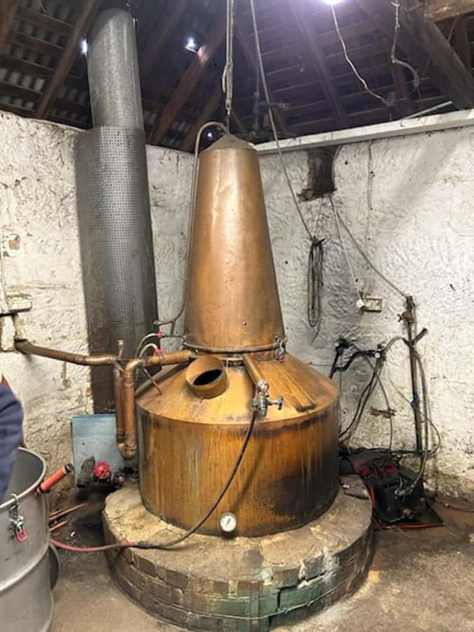 Signature Whisky Tour - Hobart & SE Tasmania - How the Day Starts: Pickup, Sullivans Cove, and Cambridge Tasting Room Time