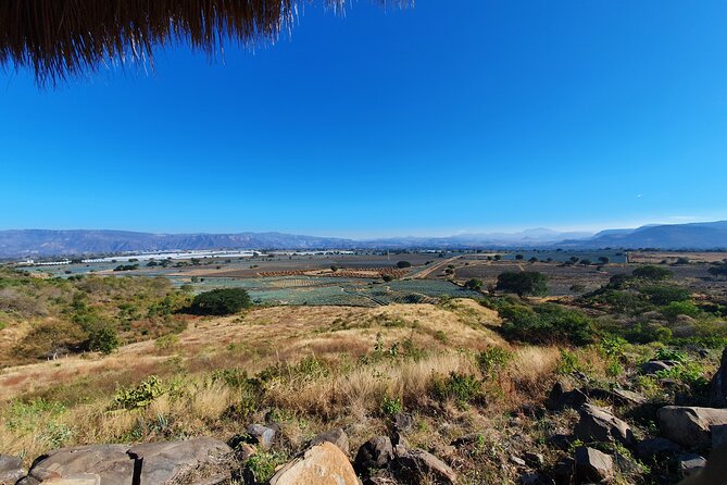 Sip & Savor Tequila Experience Distillery w/ Lunch fr Guadalajara - Time, Pace, and the Small-Group Advantage