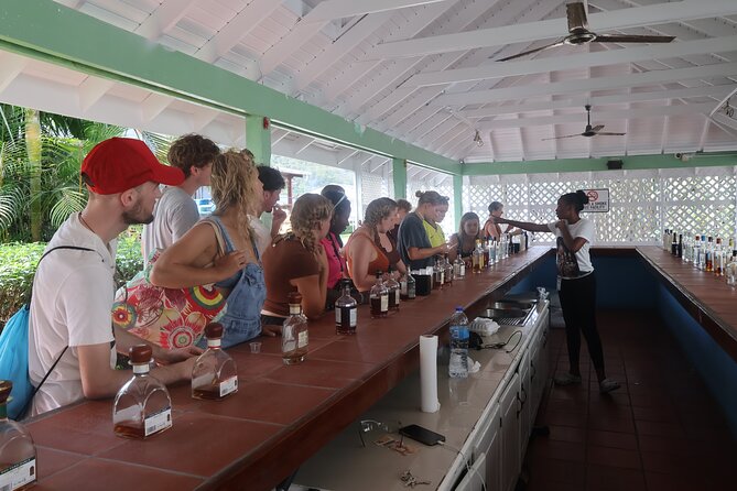 St Lucia ATV Tour : Waterfall, Plantation, Beach and Distillery - Riding reality check: you don’t need to be a pro