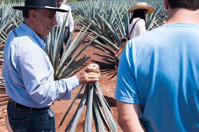 Tequila distillery experience, Jose Cuervo & Tequila Magic Town - How Long This Day Feels: The 8-Hour Headline vs. Real Timing