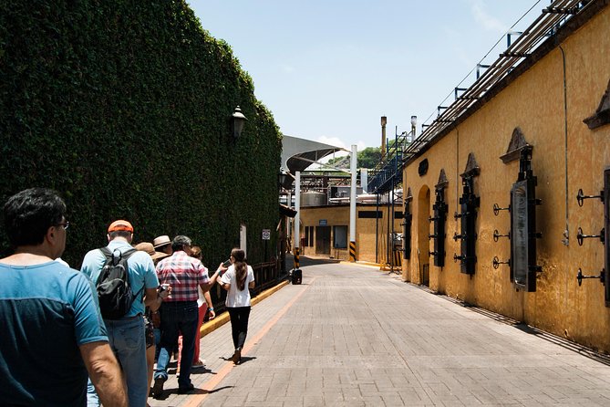 Tequila distillery experience, Jose Cuervo & Tequila Magic Town - Who This Tour Suits Best (and Who Might Not Love It)