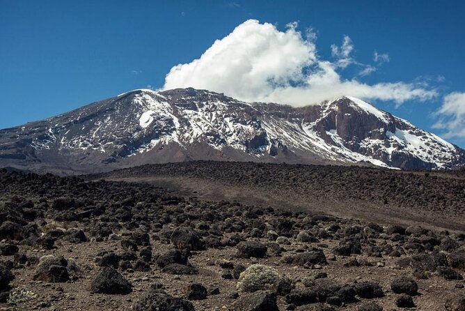 The best 6-Days Kilimanjaro hiking (Machame route)whiskey route - Day 4 and 5: Barranco scrambling to Barafu Hut at 4,600m, with Mawenzi views