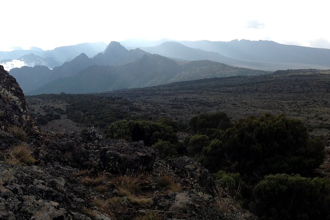 The best 6-Days Kilimanjaro hiking (Machame route)whiskey route - Day 6: Mweka bivouac descent through forest to Mweka Gate and certificates