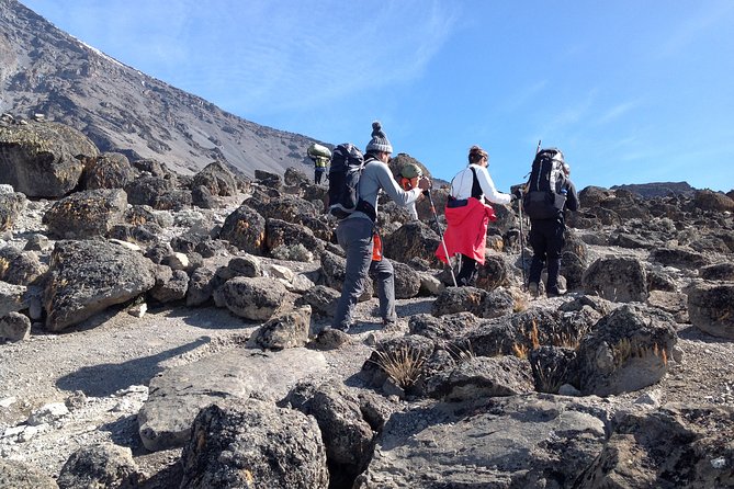 The best 6-Days Kilimanjaro hiking (Machame route)whiskey route - Price and logistics that matter before you step onto the trail