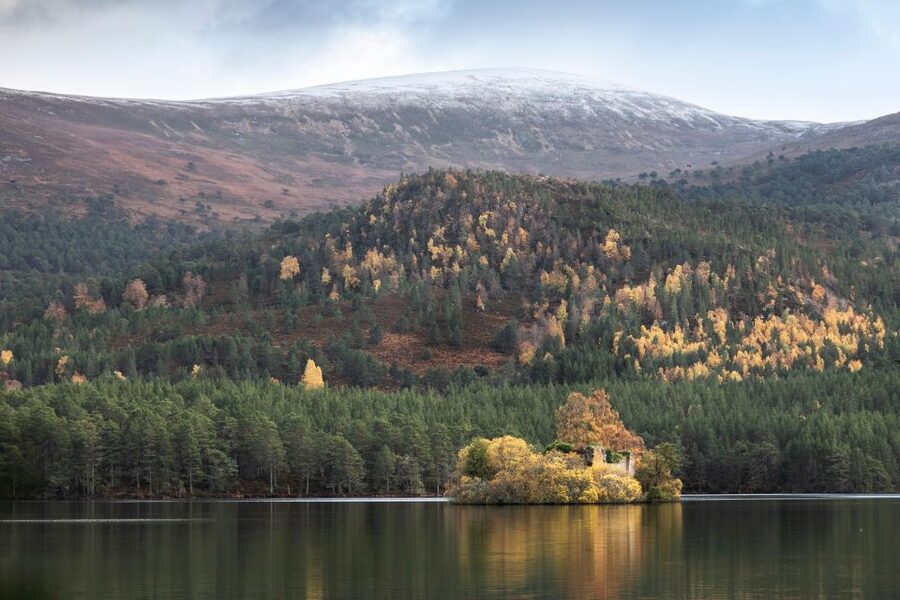 The Cairngorms, Culloden, and Speyside Whisky Tour - Why This Northern Highlands Tour Works in One 10-Hour Day