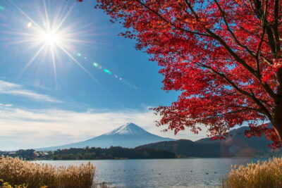 Tokyo: Mt. Fuji 5th St. & Hakushu Distillery Whisky Museum - Oishi Park and Fuji-Season Bonus Stops at the Foot of the Mountain