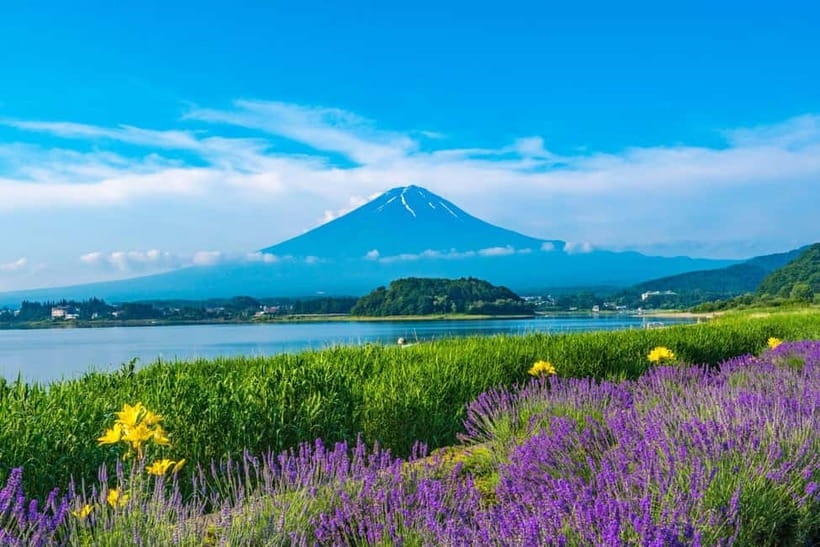 Tokyo: Mt. Fuji 5th St. & Hakushu Distillery Whisky Museum - Time on Your Feet: Buffers, Breaks, and When You’ll Be Free
