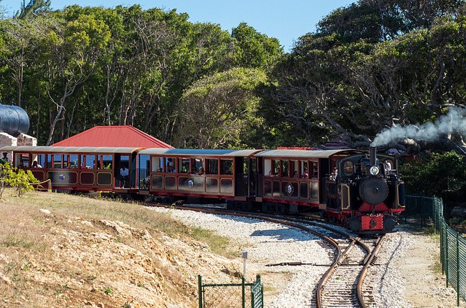 Victorian Steam (Long) Railway Journey+Great House & Distillery - Cherry Tree Hill: locomotive turning plus East-coast photo time