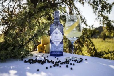 Visit Citadelle Gin Distillery - Entering the Cathedral Distillery: Charente Stills Up Close